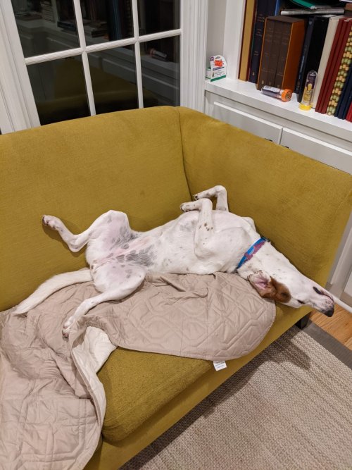 Graceful